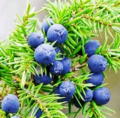 697-222 — копия3